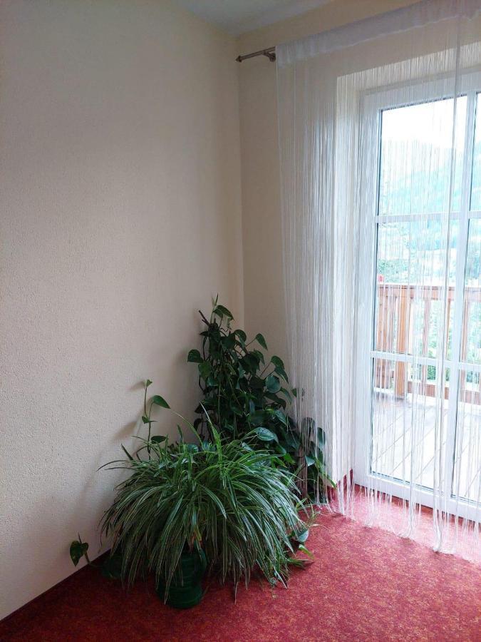 Appartements - Haus Sieberer Бриксен-им-Тале Экстерьер фото